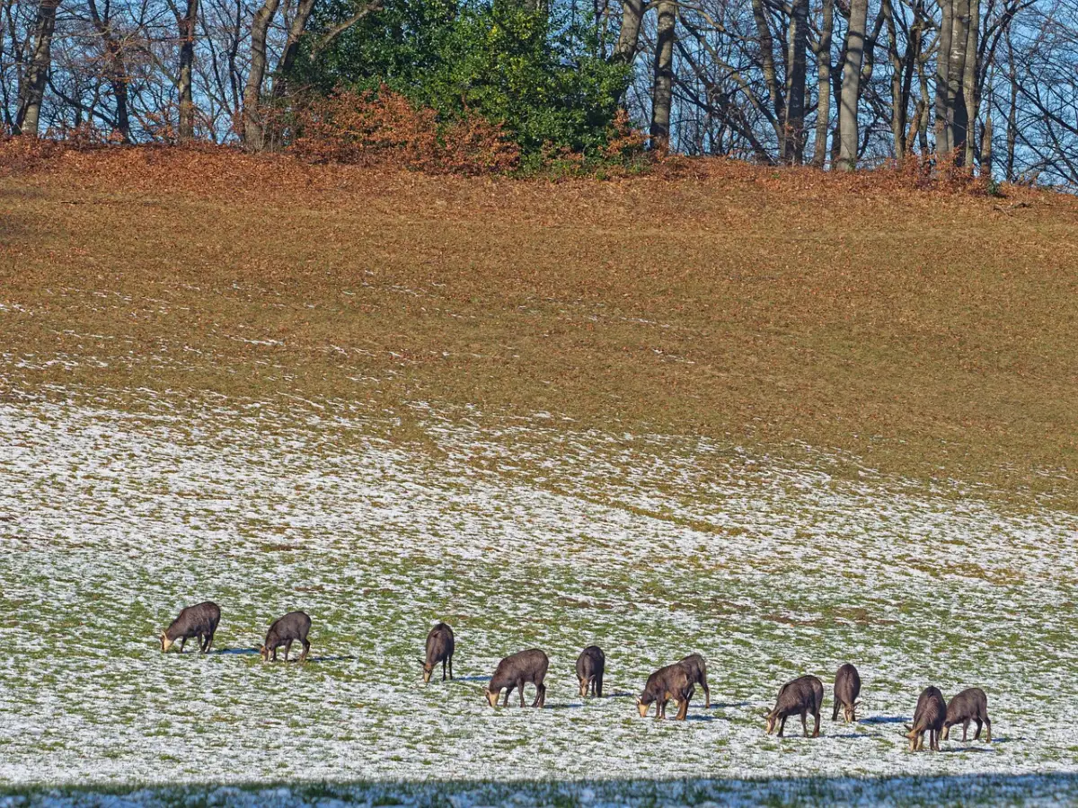 ドラマの最終回が炎上する理由