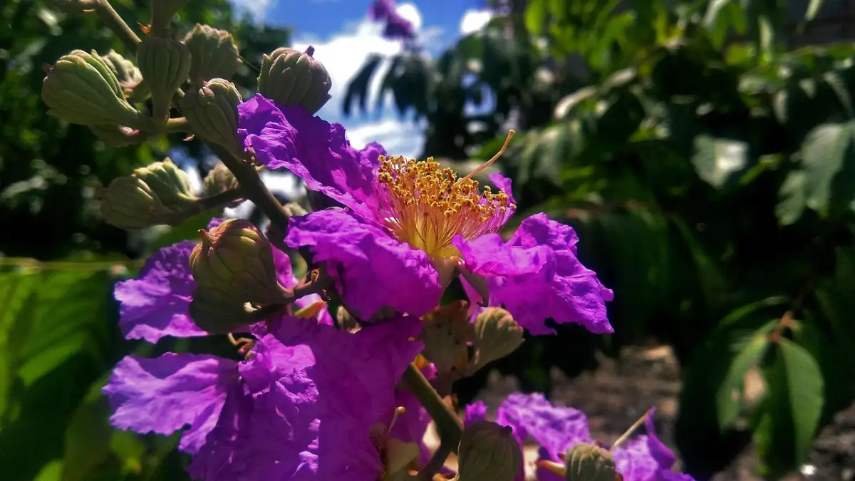 なぜ人は「限定」と言われると欲しくなるのか