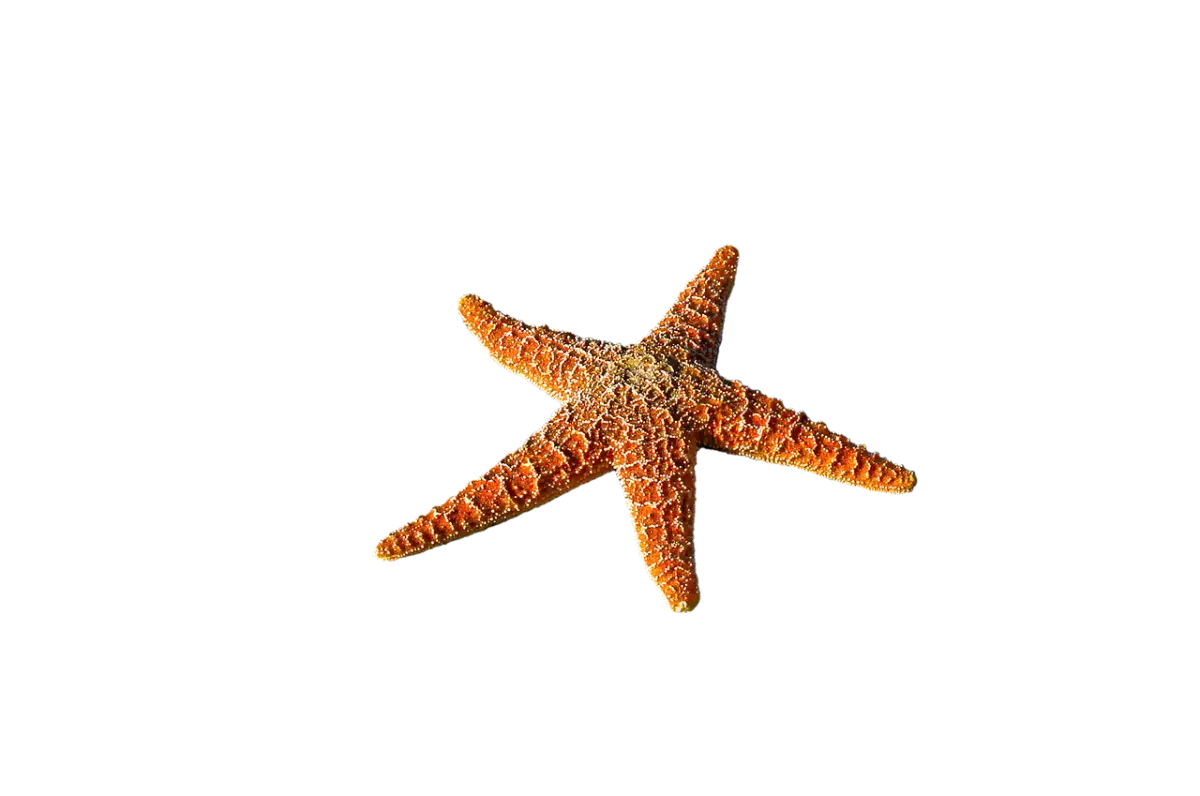 なぜ「成功者の名言」に惹かれるのか